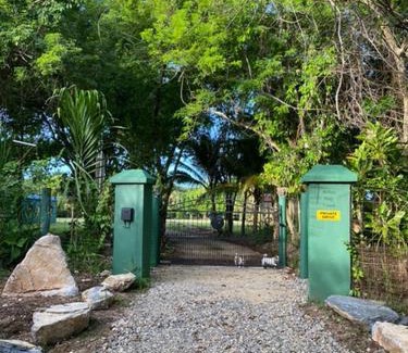 Forest Home Casa | Belize Bay Estate