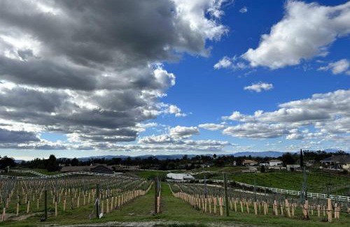 Temecula Casa | Bella Casa Di Vino - Villa