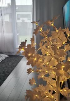 Slupsk Apartamento | Bella Casa