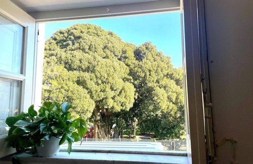 Corso dei Mille - Sant'Erasmo Casa | Bella Kalsa - Alcove in SPA and Art Room
