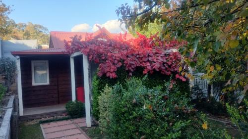 Bright Villa | Bella Rouge Cottage