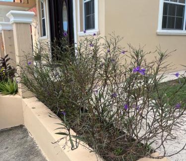 Bonne Terre Apartamento | Belle Breeze Haven