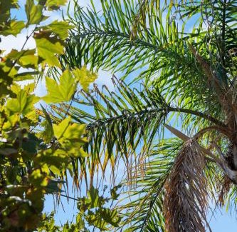 Glenelg North Casa | Belle Escapes - Seabreeze Townhouse