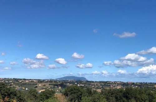 Civitanova Marche Cama Y Desayuno | Belle Marche