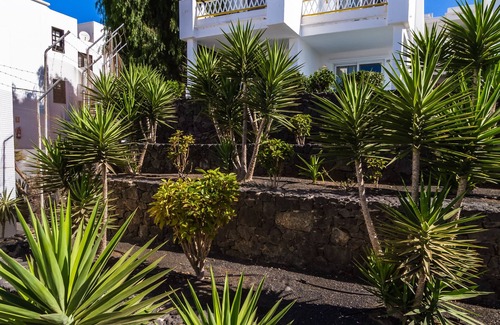 Puerto del Carmen Apartamento | BelleVue Aquarius Aparthotel