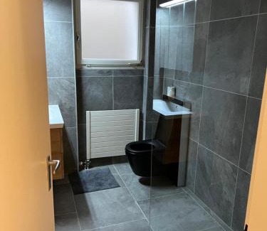 Morcote Apartamento | Bellissimo appartamento con giardino sul lago di Lugano