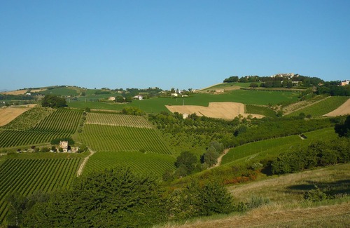 Ortezzano Apartamento | Apartamento Belvedere en granja orgánica