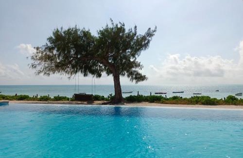 Jambiani Complejo | Belvedere Resort