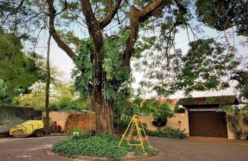 Maringa Apartamento | Bem-estar e boa localização (Apto Paraíso)