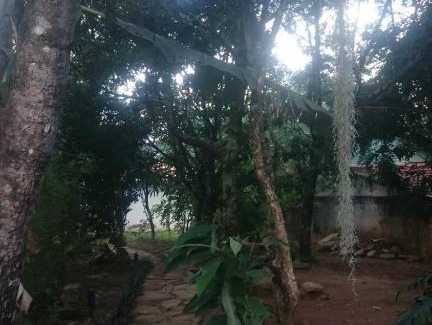 Alto Paraiso de Goias Cabina | BemVida