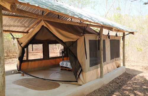 Kilifi Otro | Beneath the Baobabs