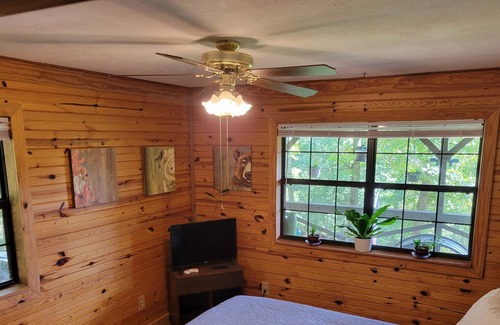 Mountain View Cabina | BenevaBluff - Private cabin on 5 acres located near everything