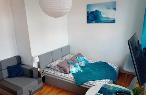 Torun Casa | Benny 3 na wyłączność