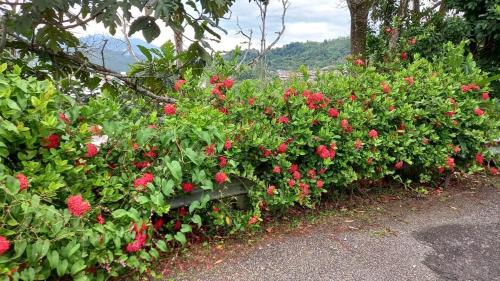 Bentong Casa | Bentong Hill Cottage