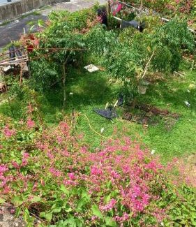 Bentong Casa | Bentong Hill Cottage