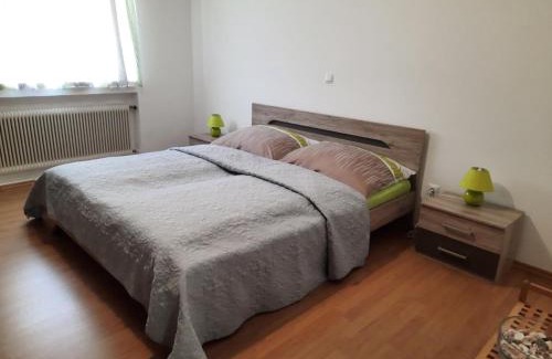 Golling an der Salzach Apartamento | Bergblick