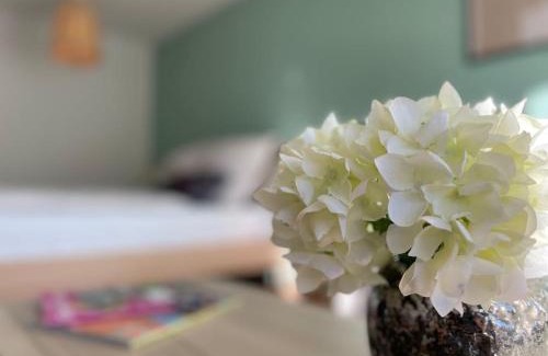 Steibis Apartamento | BERGfeeling mit Oberstaufen PLUS