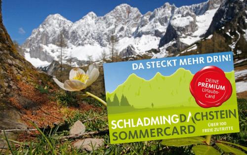 Ramsau am Dachstein Apartamento | Bergidyll Top 1 Gartenwohnung