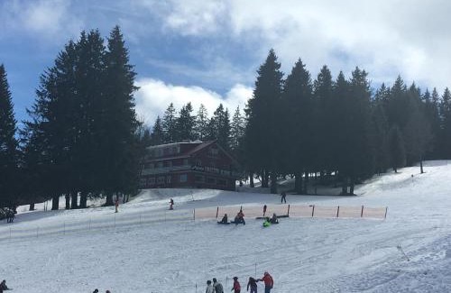Feldberg Apartamento | Bergkristall