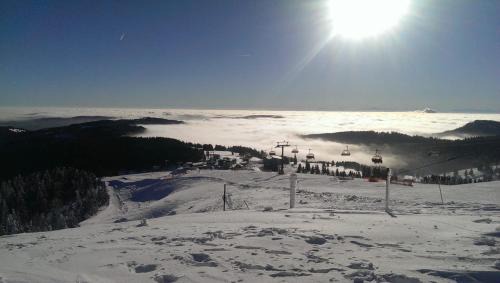 Feldberg Apartamento | Bergkristall