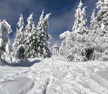 Feldberg Apartamento | Bergkristall