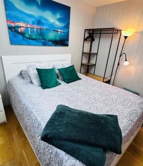 Hof Municipality Apartamento | Bergsvannets Lake Guesthouse