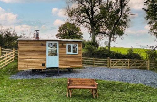 Ffaldybrenin Otro | Berllan Y Bugail Shepherds Hut