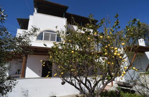 Naxos Apartamento | Bernie House 2