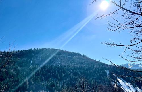 Meszna Apartamento | Beskid Apartment 15 z widokiem na Skrzyczne, Sauna, Jacuzzi