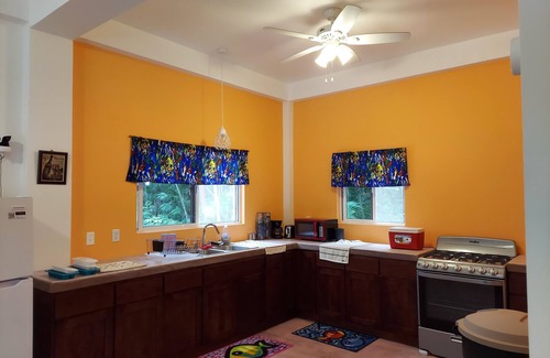 Corozal Cabina | Best Combination of the Water, the Jungle, and Nearby Urban Life