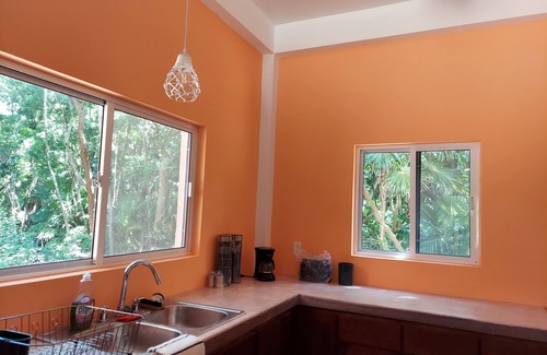 Corozal Cabina | Best Combination of the Water, the Jungle, and Nearby Urban Life