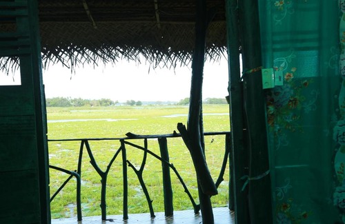 Yodakandiya Cabina | Best Lake View tree house