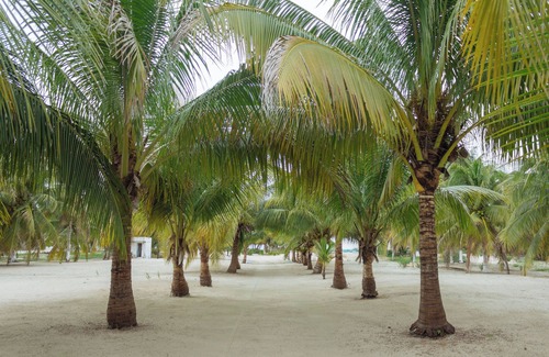Península de Yucatán Casa | Best place to relax w/pool frontbeach house! PELICANOS