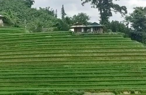Sa Pa Casa | Best View Homestay