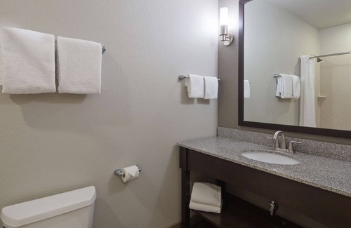 Montopolis Hotel | Best Western Plus Austin Airport Inn & Suites