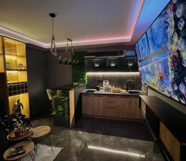 Zajecar Apartamento | Beta Lux