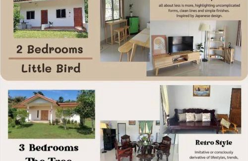 Betong Casa | Betong House in the Garden