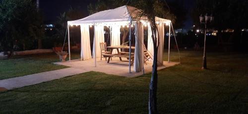 Eboli Apartamento | beucarnea apartment salerno