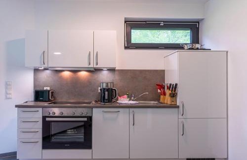 Krakow am See Apartamento | Bewusstsein - Modernes Apartment mit Terrasse, Walk-In-Dusche & Wellnesszugang
