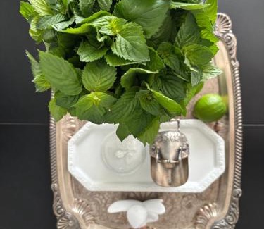 Siechnice Apartamento | BG home