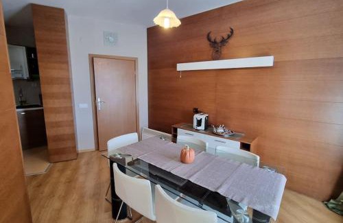 Samokov Apartamento | BH & Semiramida Ski Apartment