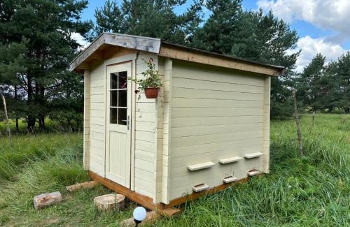Kaunas County Casa | Bičių namas Bičių lova Bee house