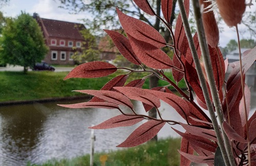 Brunsbuttel Apartamento | Bi uns im Norden - Janne