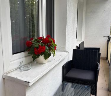 Biala Podlaska Apartamento | Biała Centrum 2