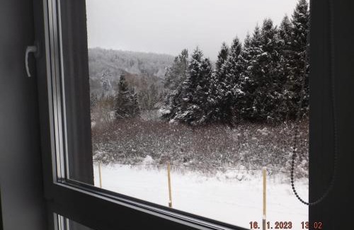 Ustrzyki Dolne Apartamento | Biało - niebieski
