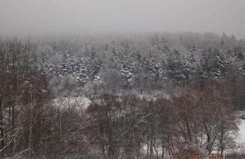 Ustrzyki Dolne Apartamento | Biało - niebieski