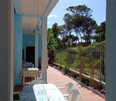 Marina di Bibbona Apartamento | Bibbona Summer - Pineta 1 -