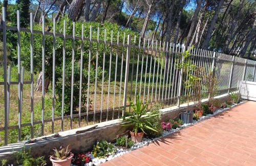 Marina di Bibbona Apartamento | Bibbona Summer - Pineta 1 -