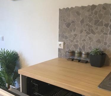 Praia de Mira Casa | Bico das flores