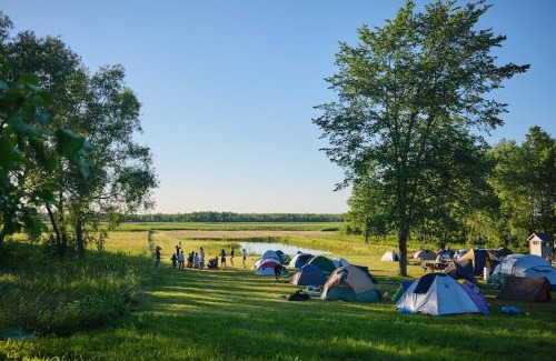 Goniadz Otro | Biebrza CAMP - pole namiotowe